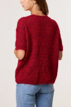Load image into Gallery viewer, POINTELLE KNIT SHORT SLEEVE CARDIGAN