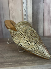 Load image into Gallery viewer, Gold shoes